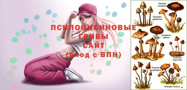 mdpv Баксан