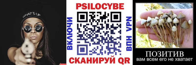 shop состав MEGA tor Пятигорск Псилоцибиновые грибы MAGIC MUSHROOMS