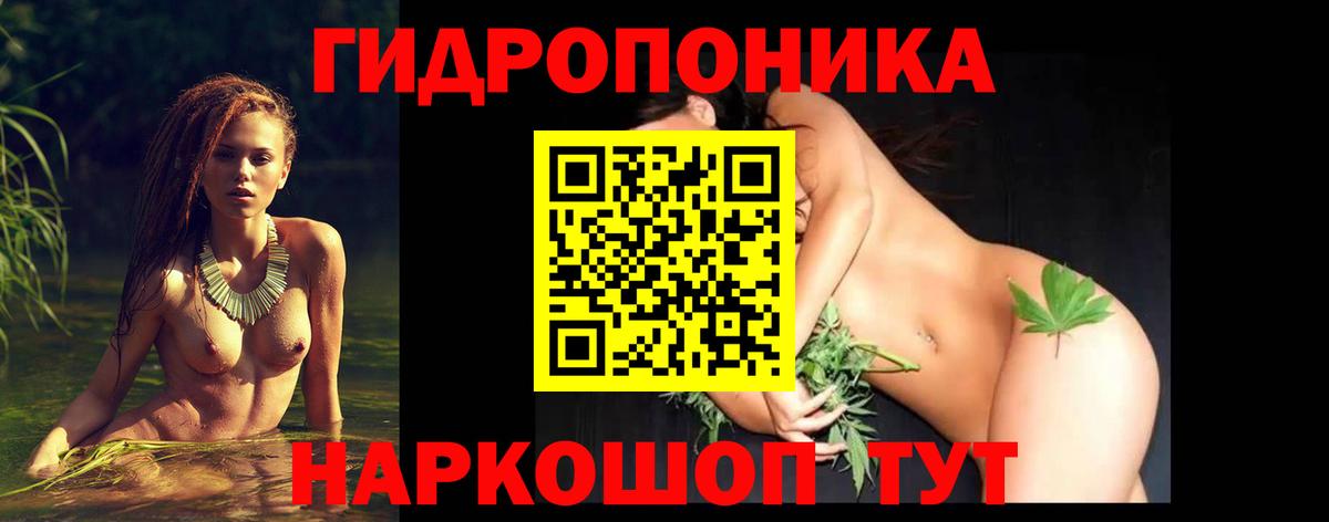 Шишки марихуана конопля Пятигорск